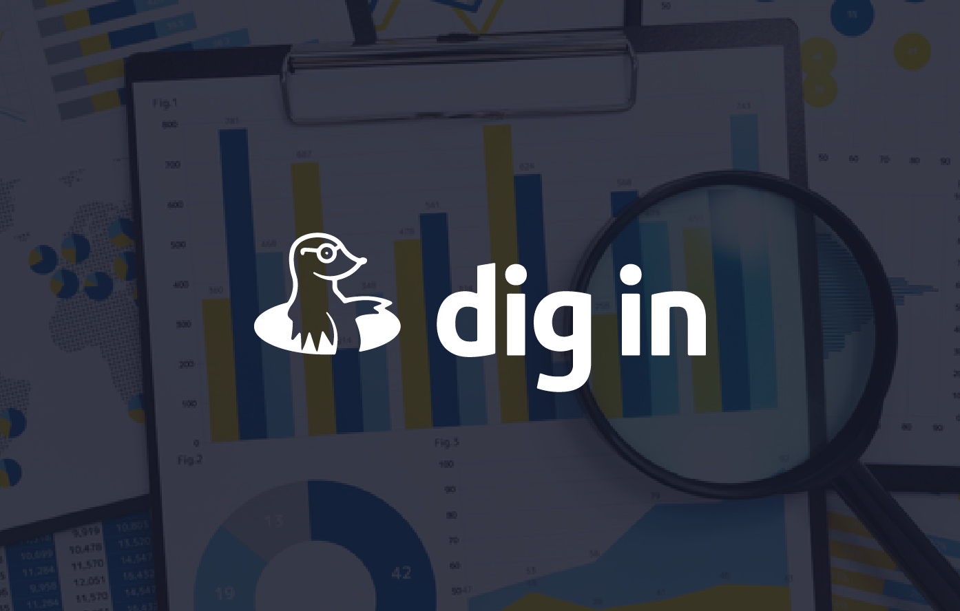 Proyecto Digin