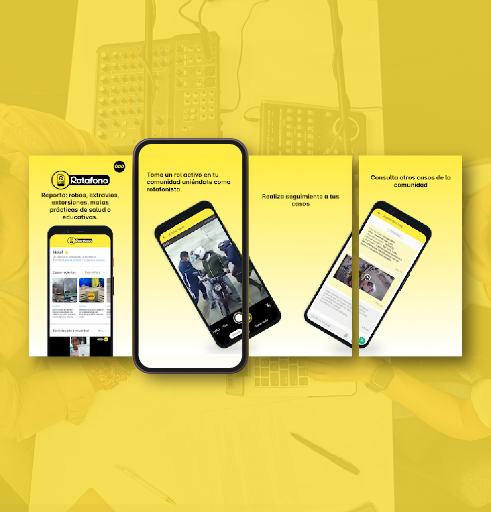 Visual del proyecto RPP